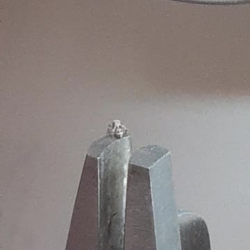 I believe in you little spider!