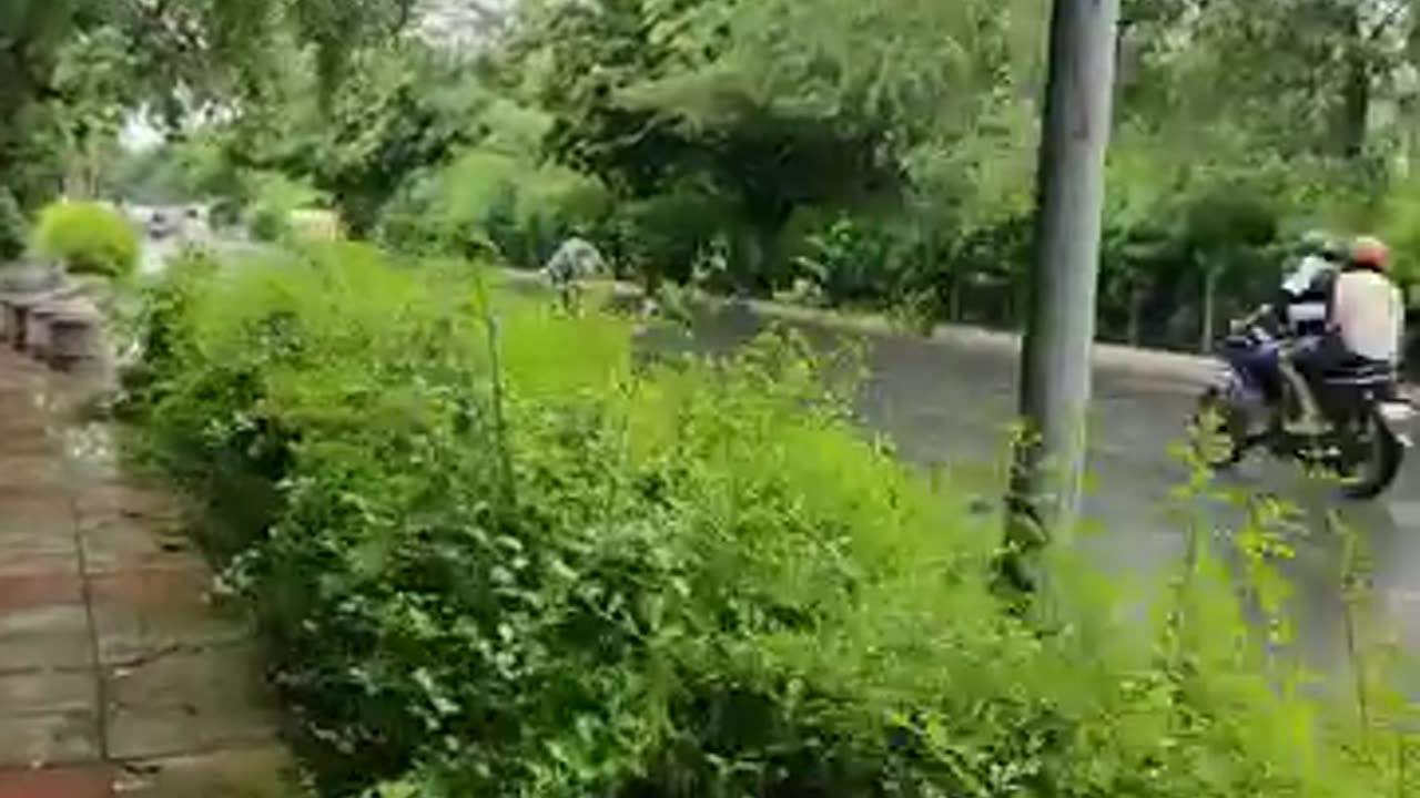 Animal Fight Animal Race-By-Masti-time_15.mp4