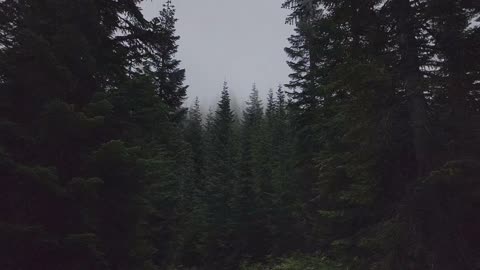 A Quick Jaunt Past Stampede Pass, WA