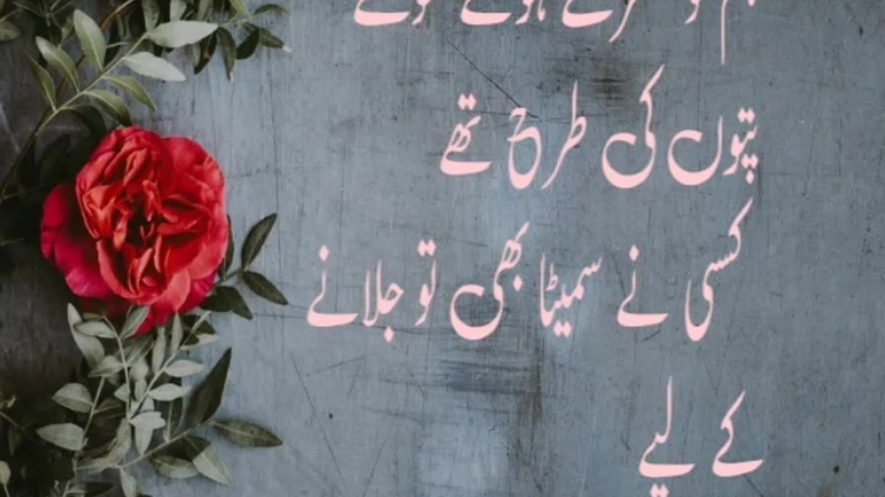 Urdu quotes