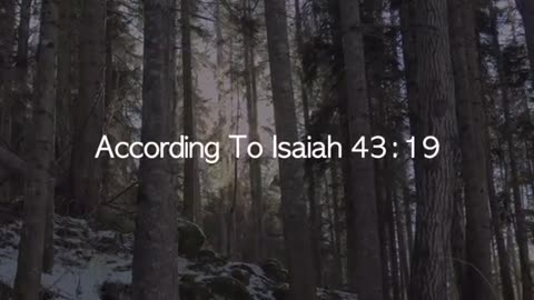Prayer For Breakthrough 🙏