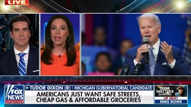 Tudor Dixon: We Aren't Buying What Dems are Selling