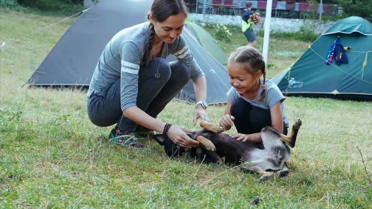 Mother and daughter is gently stroking mongrel dog at campfire. People and animal friendship concept