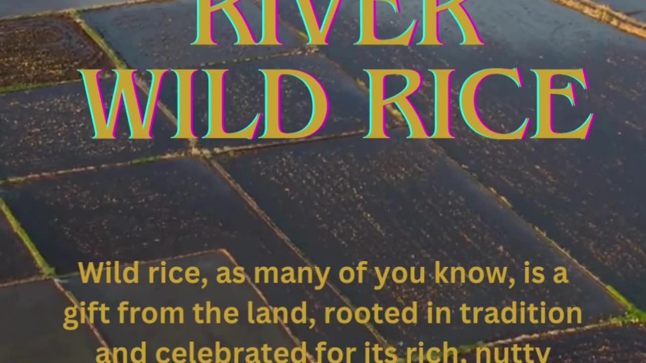 Nutrient-Rich Cultivated Wild Rice for Every Meal