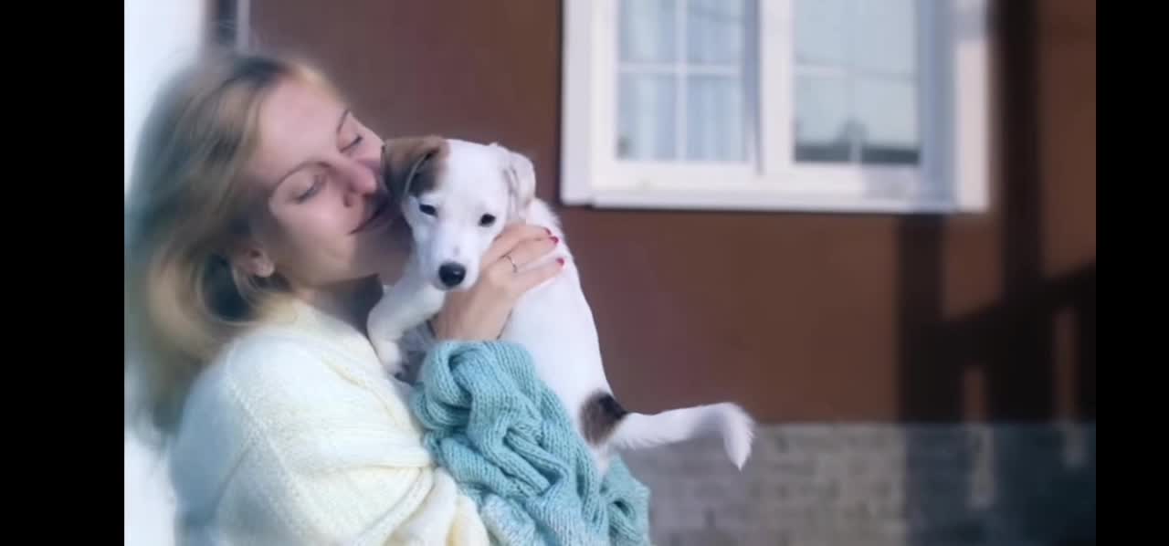 10 Dog Breeds That Have The Cutest Puppies