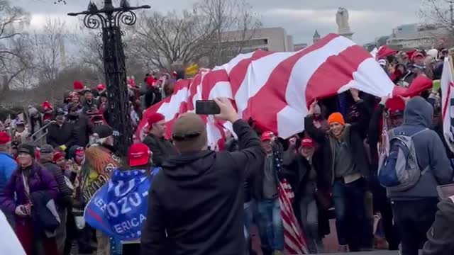 Could the American flag be Antifa’s Trojan Horse?
