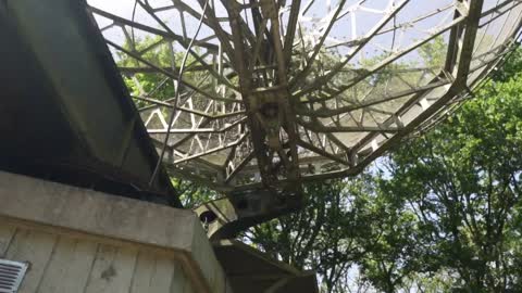 Old satellite dish seen from below surrounded by trees