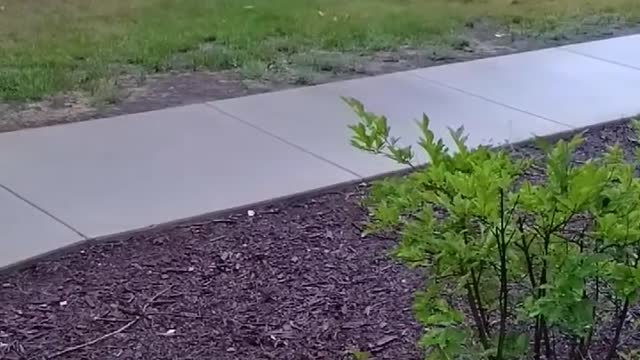 Is it an RIP??? I hope not..