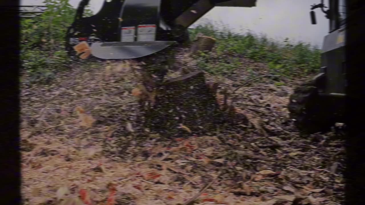 Stump Grinder Sale