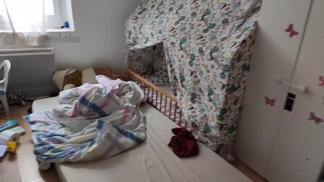 2022-05-25 (2) - vidage de bagnole - Twitch