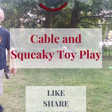 Cable and Squeaky toy play 5