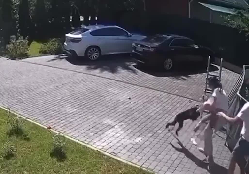 Monkey attacks girl