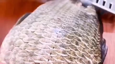 Stainless Steel Fish Scale Scraper Remover