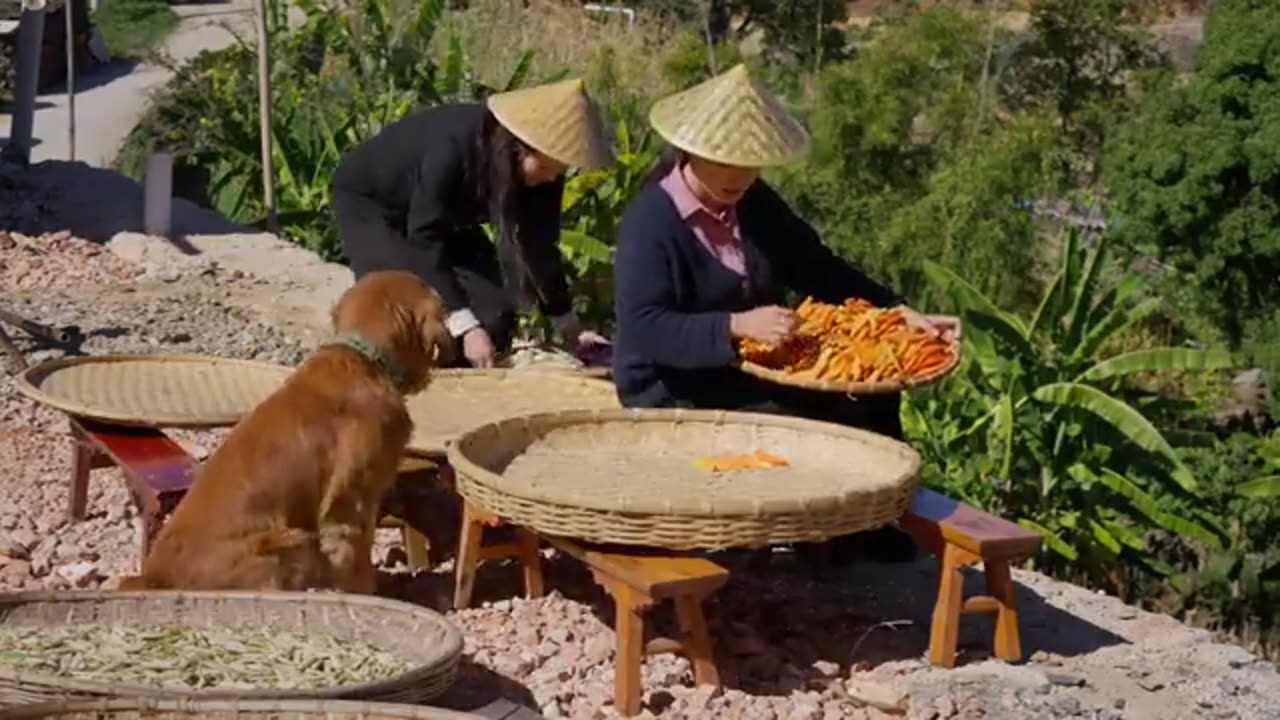 “Tracking the Roots” - Colored Sweet Potatoes in Yunnan Plateau’s Red Soil