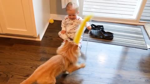 Baby and Cat Fun.Funny Baby Video