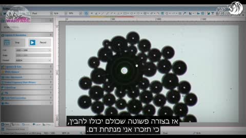 ד״ר זנדרה בוטה | ניתוח דם ובקבוקוני חיסונים | ממצאים שלא נראו לפני כן מעולם