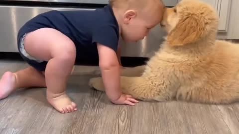 Baby Playing with puppy 😍