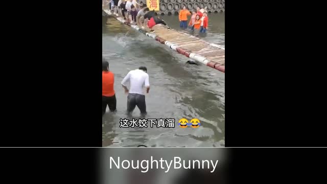 FUNNY 😂 Bunny Videos #1