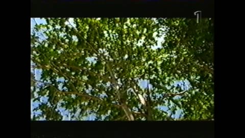 Robinson S06E05