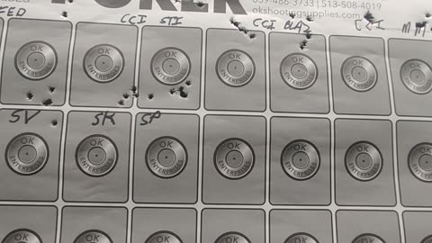 MARLIN 795SS AMMO TESTING