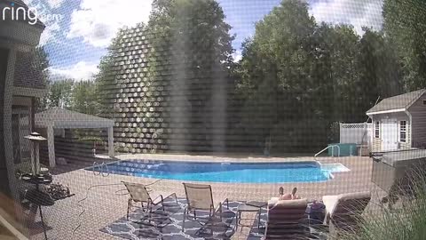 Bear Wakes Up Guy Taking a Nap By The Pool Its funny