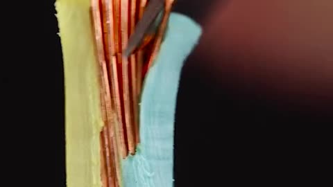 Cable Scalpel strip close-up 🔍