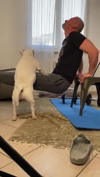 Baby Dogs 🐶 Cute and Funny Dog Videos Puppy Dogs Compilation