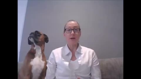A Boxer Dog Interrupts a Classroom Lesson.