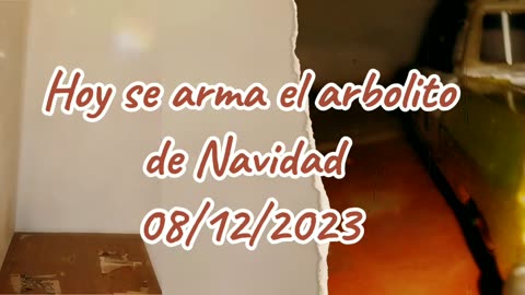 Hoy se arma el arbolito de Navidad 08/12/2023