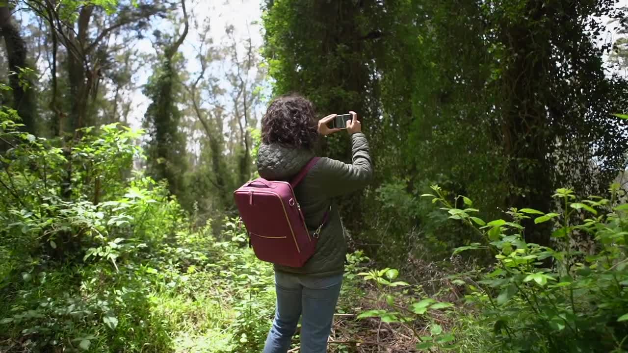 Bag Backpack