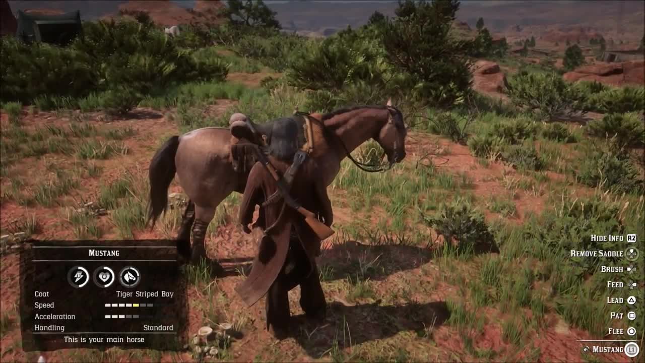 Rare Tiger Striped Mustang Location! Red Dead Redemption 2 Horse Guide.