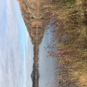 Preview of next show