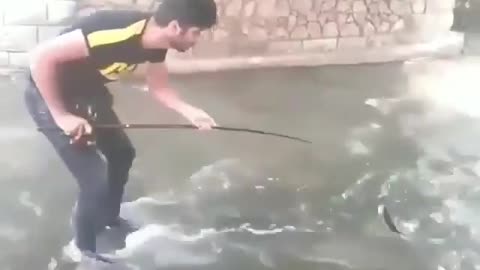 This is a beautiful and charming water-dwelling species