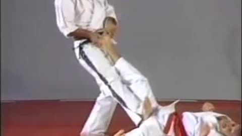 Hapkido Defense Against Kicks