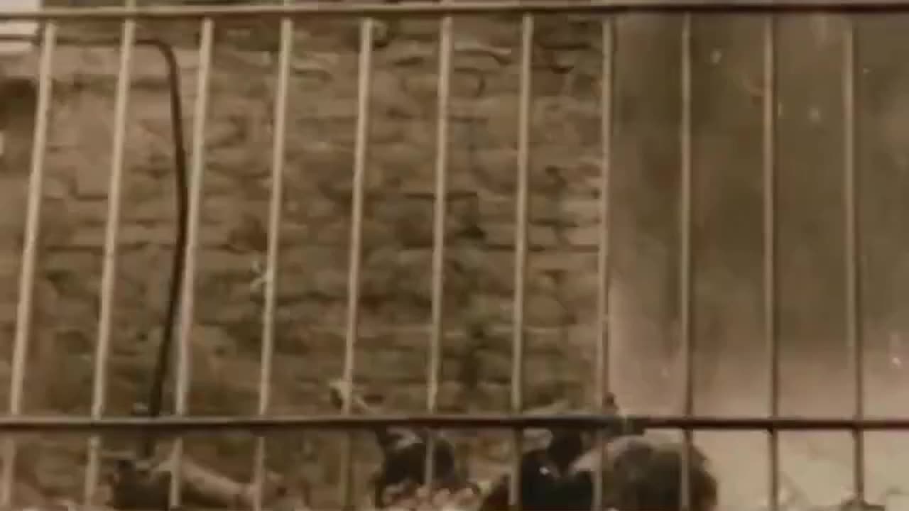 History is Written by the Winners