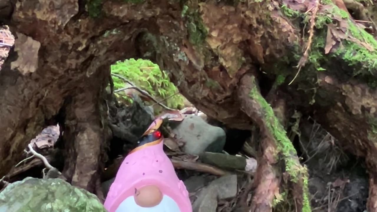 Gnome #30 Wakan Gli in their Natural Habitat