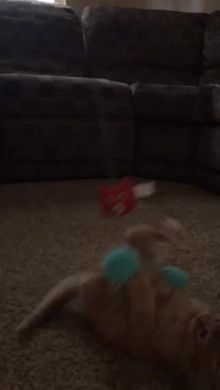 Carson H First Play Date