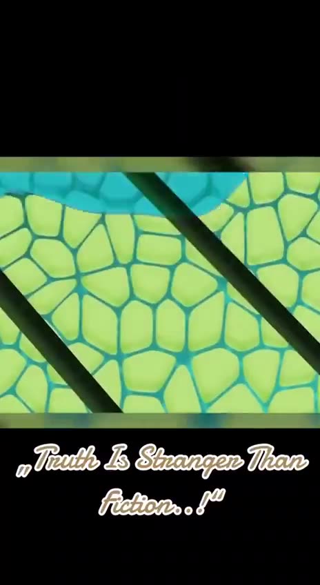 TIME TO GROW YOUR OWN FOOD