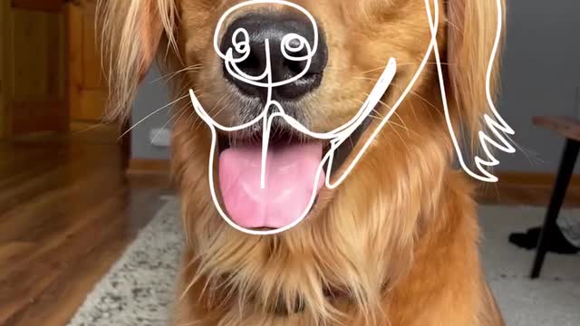 Very Beautiful Dog Caricature