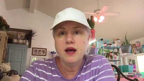 Late July Update