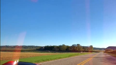 A Flock of Cranes Take Flight on the Left!