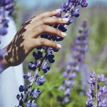 Touching The Flowers In The Field