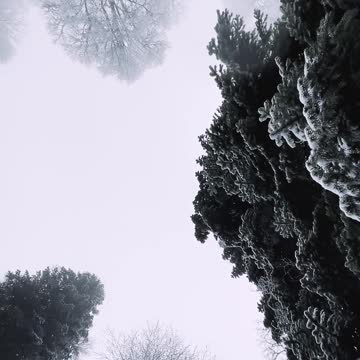snow video