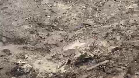 Ukraine Footage - 08/14/23