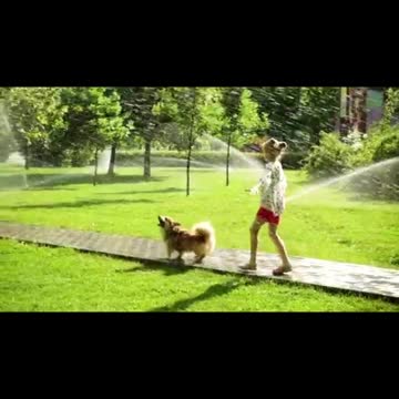 Kitten Coco is attacked by tiny chicks