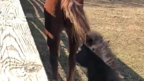You will never believe what happened 🤣🤪