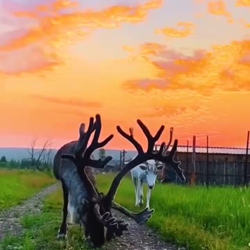 Beautiful 😍 place