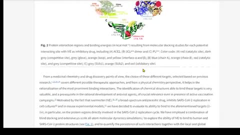 New Pfizer drug and ivermectin