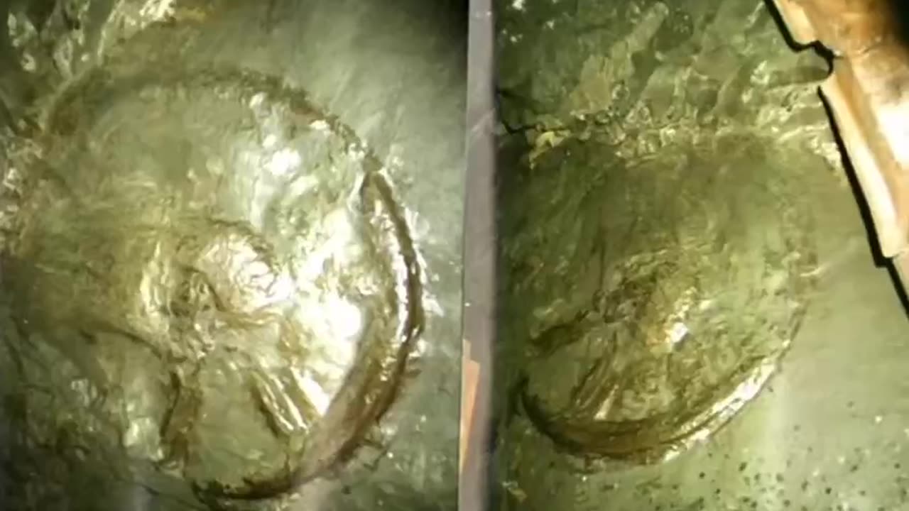 400 million year old wheel embedded in Ukrainian stone ??