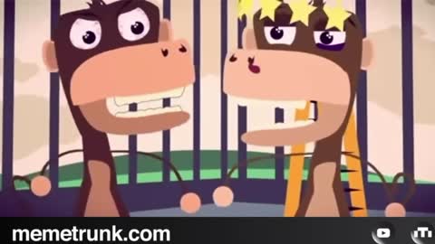 5 Monkeys: That’s just how things are done around here
